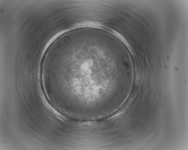 X0000085261339200703161354