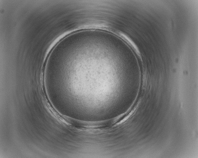 X0000085261340200703161354