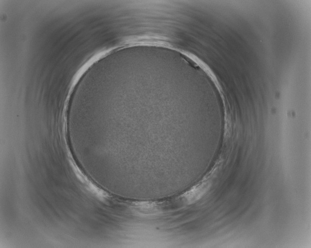 X0000085261341200703161354