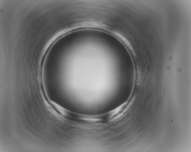 X0000085261342200703161354