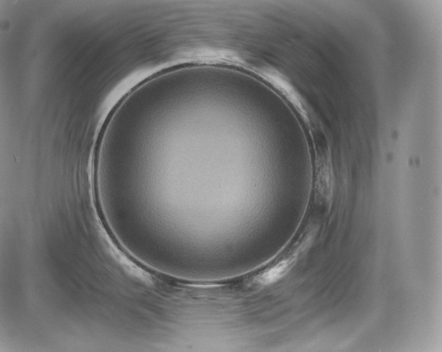 X0000085261343200703161354