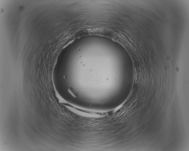 X0000085261345200703161353