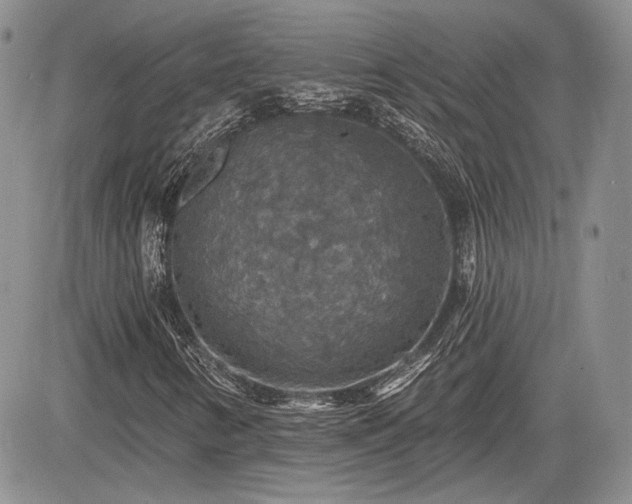 X0000085261346200703161353