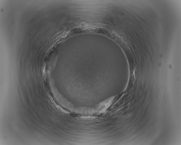 X0000085261348200703161353