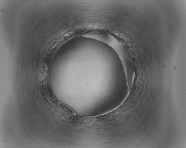 X0000085261349200703161353