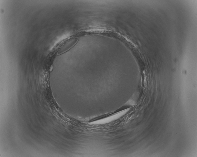 X0000085261351200703161353