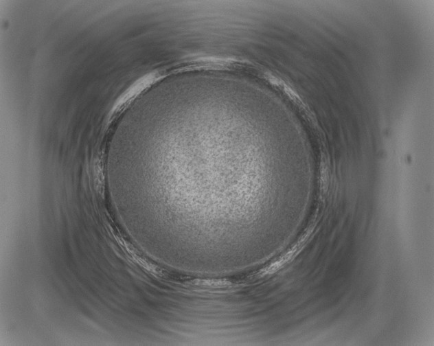 X0000085261354200703161353