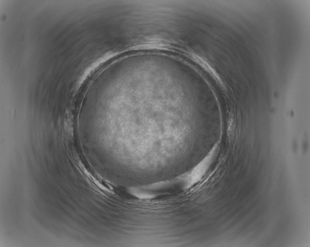 X0000085261356200703161353