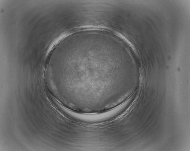 X0000085261357200703161353