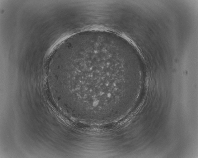 X0000085261359200703161353