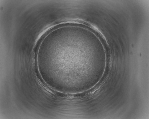 X0000085261360200703161353