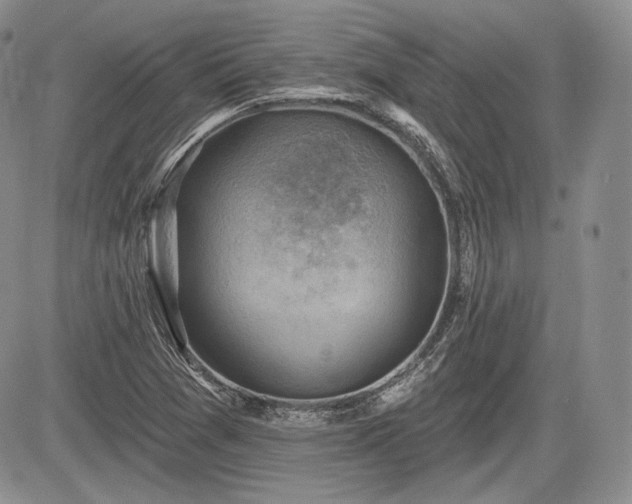 X0000085261361200703161353