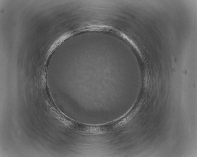 X0000085261362200703161353