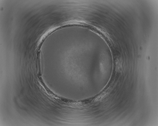 X0000085261363200703161353