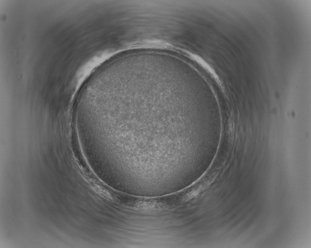 X0000085261364200703161353