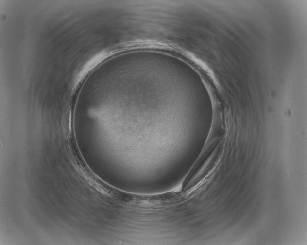 X0000085261365200703161353