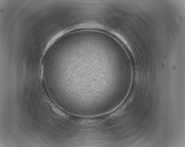 X0000085261366200703161353