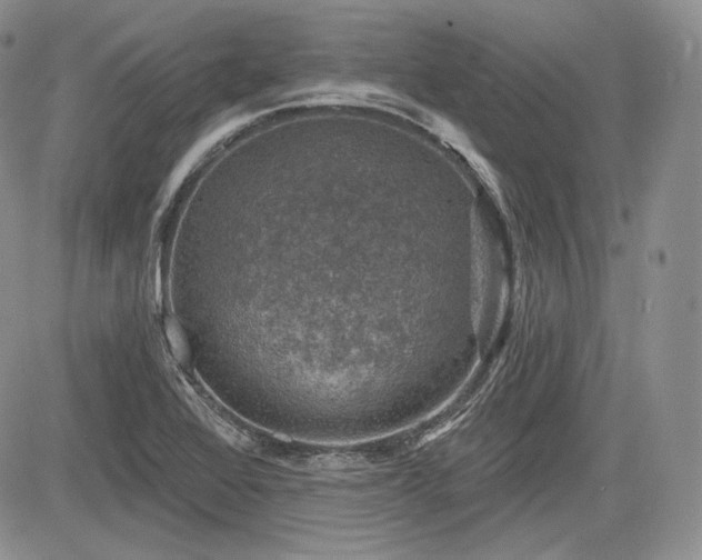 X0000085261368200703161353