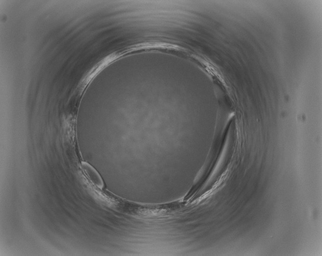 X0000085261369200703161353