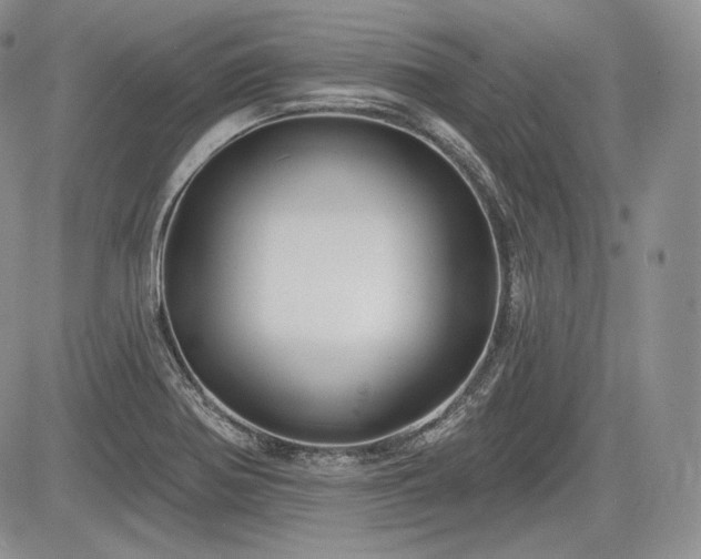 X0000085261370200703161353