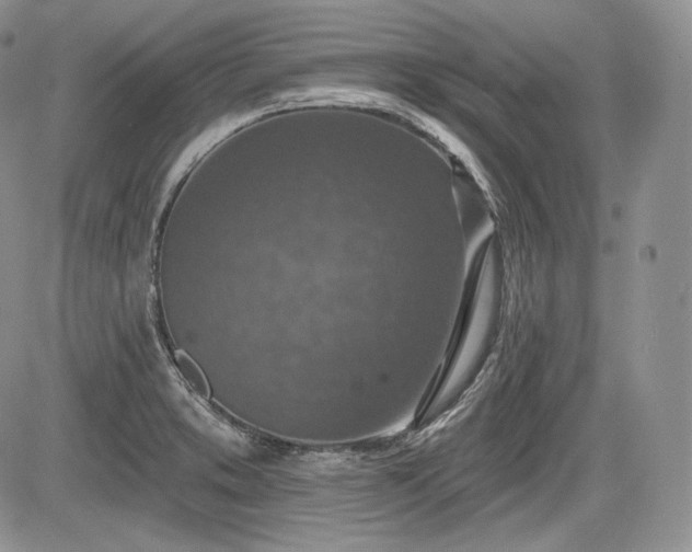 X0000085261373200703161353