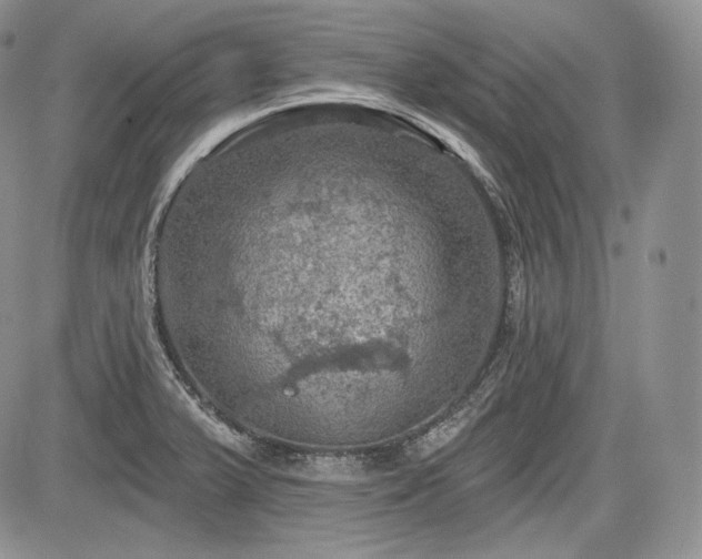 X0000085261375200703161353