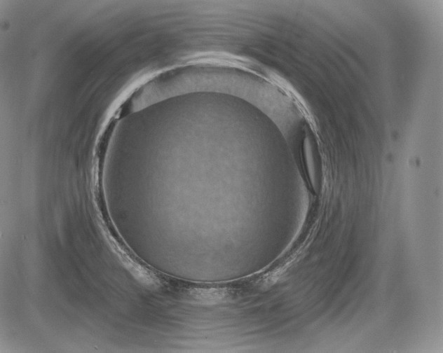 X0000085261376200703161353