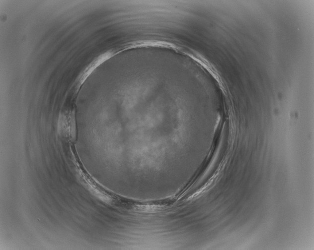 X0000085261377200703161353