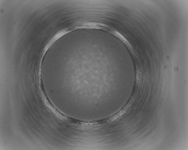 X0000085261378200703161353