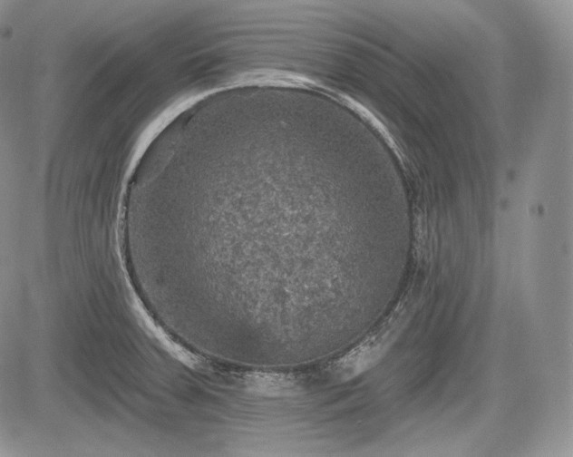 X0000085261379200703161353