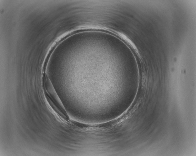 X0000085261380200703161353