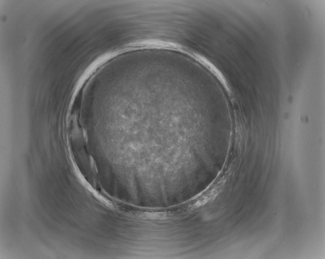 X0000085261381200703161353