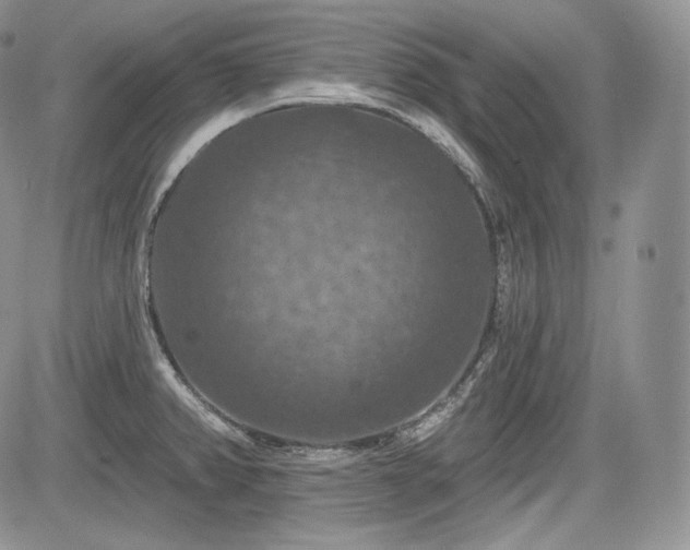 X0000085261382200703161353