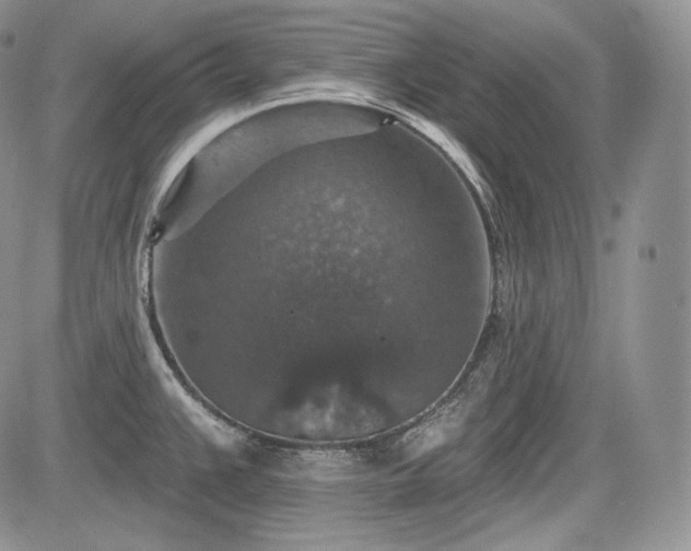 X0000085261383200703161352