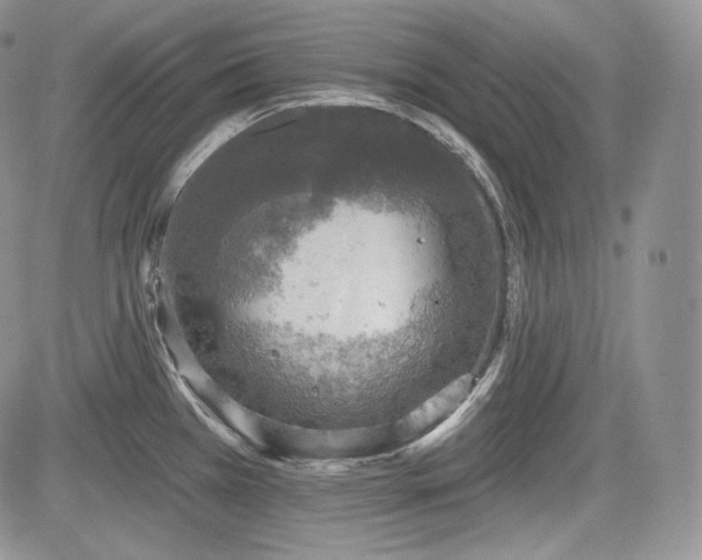 X0000085261385200703161352