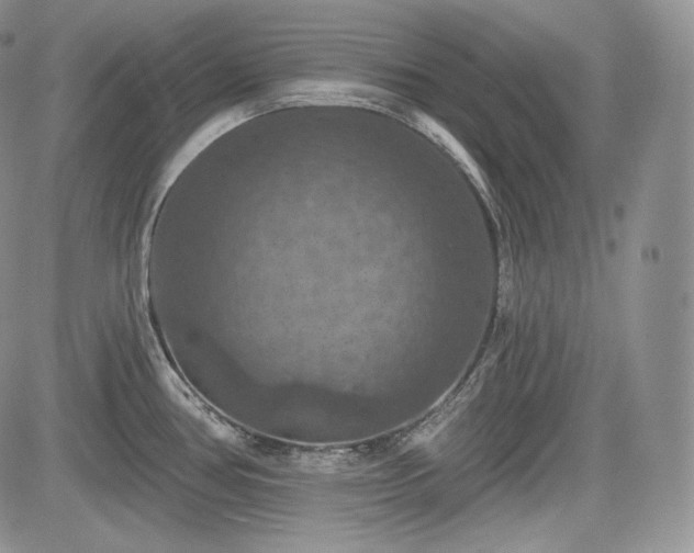 X0000085261386200703161352