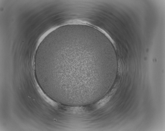 X0000085261387200703161352