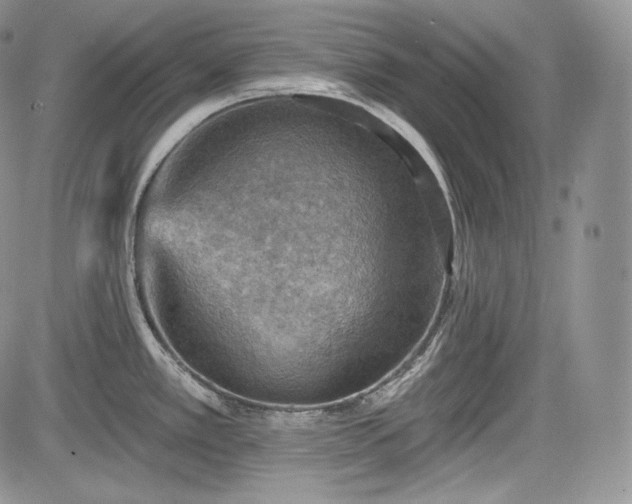 X0000085261389200703161352