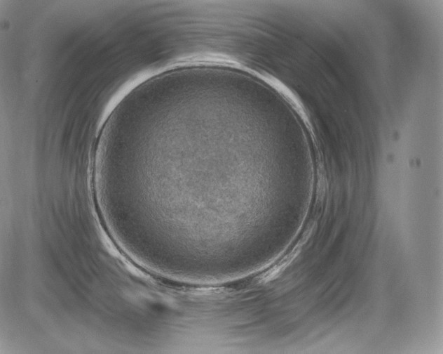 X0000085261390200703161352