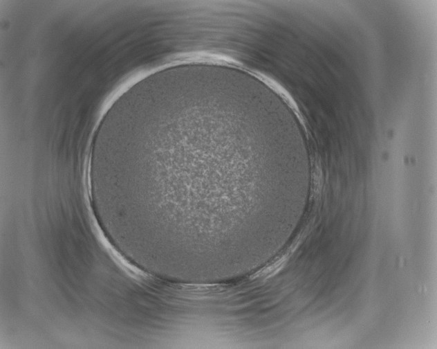 X0000085261391200703161352