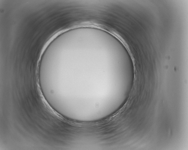 X0000085261392200703161352