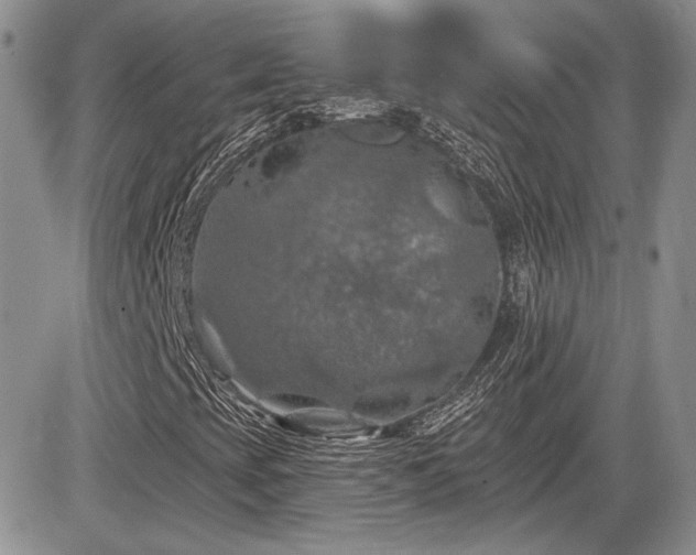 X0000085261393200703161352