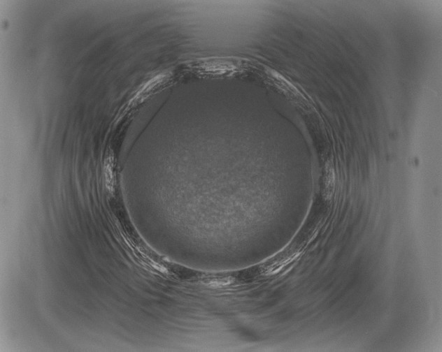 X0000085261394200703161352