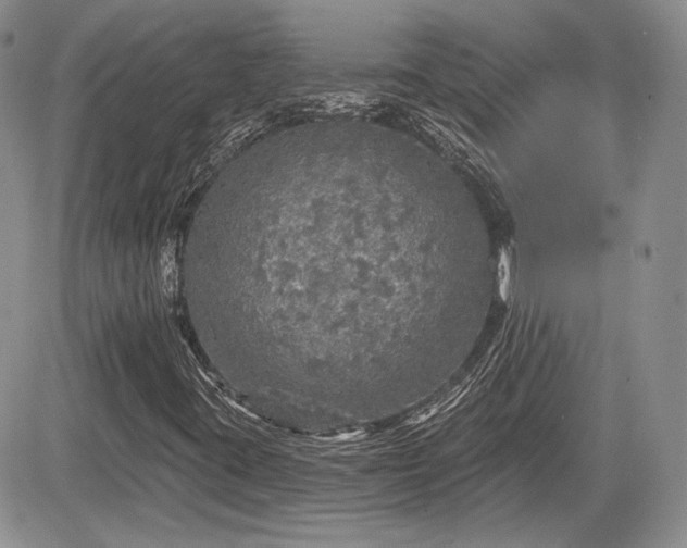 X0000085261395200703161352