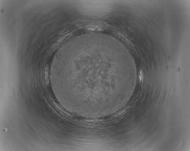 X0000085261396200703161352