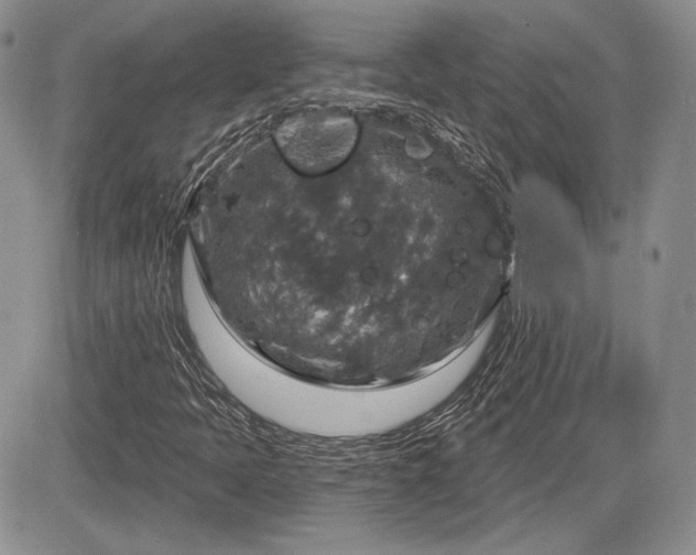 X0000085261397200703161352