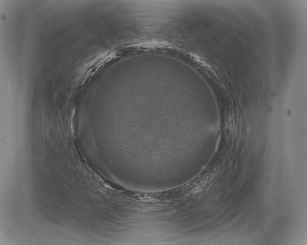 X0000085261398200703161352