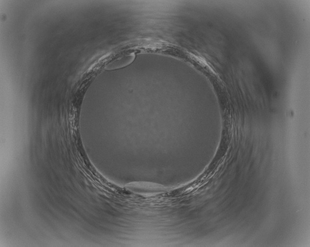 X0000085261399200703161352