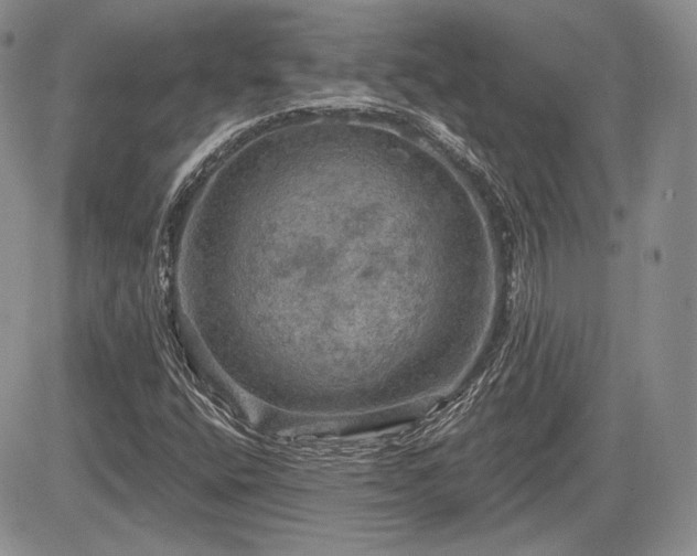 X0000085261400200703161352