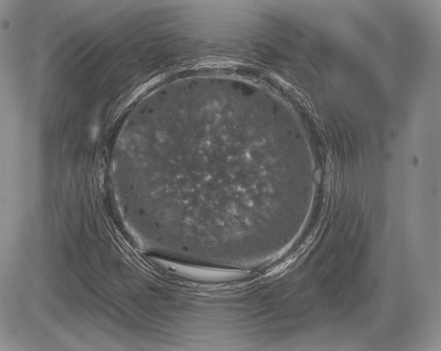 X0000085261401200703161352